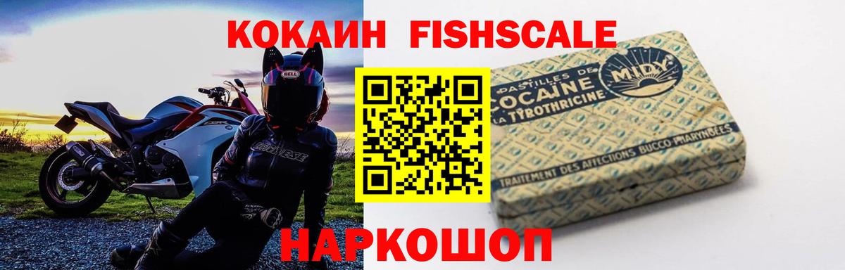 Cocaine Fish Scale Полысаево