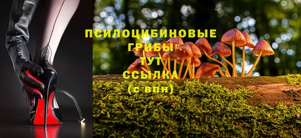 2c-b Алзамай