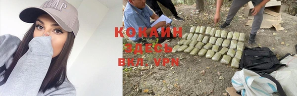 кокаин колумбия Алексин