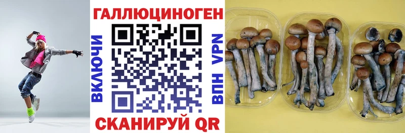 даркнет сайт  Полысаево  Псилоцибиновые грибы MAGIC MUSHROOMS 