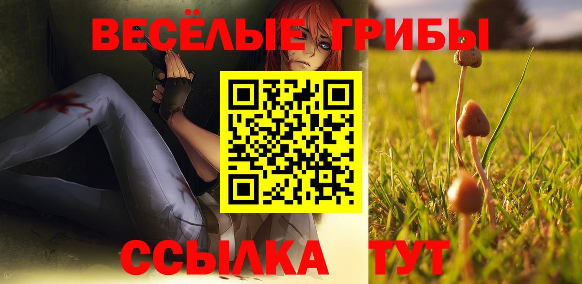 Полысаево  Галлюциногенные грибы Psilocybine cubensis  наркошоп  Вход с VPN 