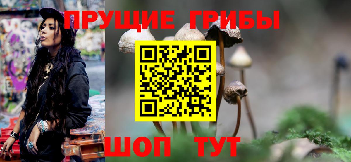 Галлюциногенные грибы MAGIC MUSHROOMS Полысаево